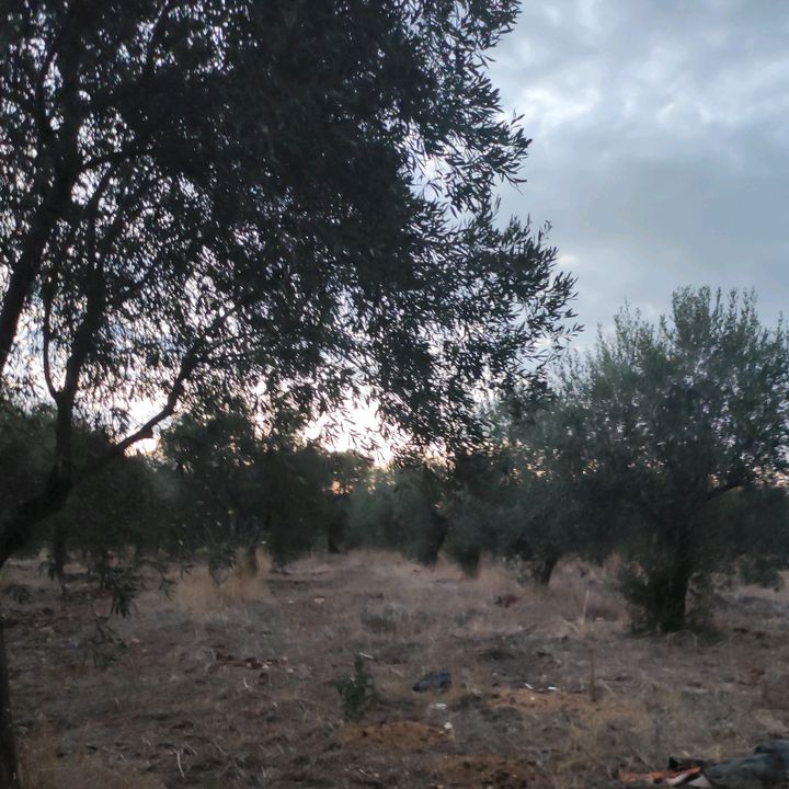 Ranix - suono originale